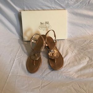 Golden Coach Sandals